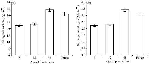 Image for - Carbon and Nitrogen Storage in Soil Aggregates from Different Terminalia superba Age Plantations and Natural Forest in Kouilou, Congo