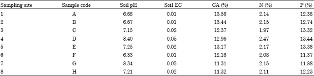 Image for - Insoluble Phosphate Solubilization by Bacterial Strains Isolated from Rice Rhizosphere Soils from Southern India