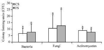 Image for - Comparison of Physical, Chemical and Microbial Properties of Soils in a Clear-cut and Adjacent Intact Forest in North Western Himalaya, India