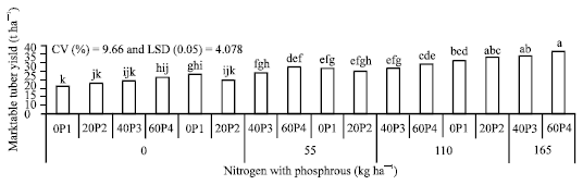 Image for - Effect of Different Rates of Nitrogen and Phosphorus on Yield and Yield Components of Potato (Solanum tuberosum L.) at Masha District, Southwestern Ethiopia