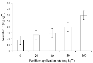Image for - Phosphorus Availability in Calcareous Soil Amend with Chemical Phosphorus Fertilizer, Cattle Manure Compost and Sludge Manure