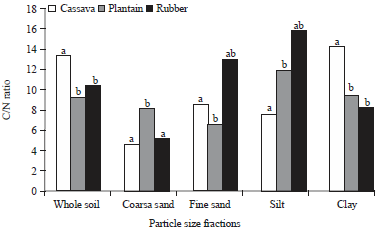 Image for - Organic Carbon and Nitrogen Distribution in Particle-size Fractions of Soils Under Cassava, Plantain and Rubber Based Land Use
