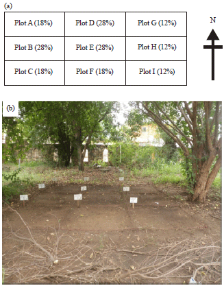 Image for - Effects of Variable Angular Velocities and Soil Moisture Contents on Undrained Shear Strength in a Sandy Loam Soil (Eutric Leptosol)
