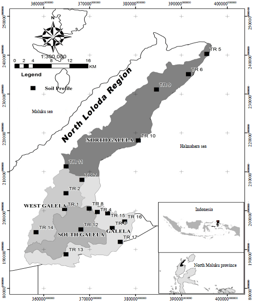 Image for - Land Suitability Evaluation For Nutmeg (Myristica fragrans Houtt) In Galela Region, North Halmahera Districts, North Maluku, Indonesia