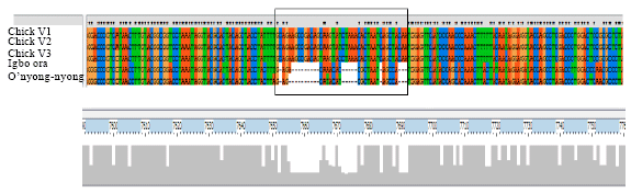 Image for - Mutational Patterns and DNA Barcode for Diagnosing Chikungunya Virus