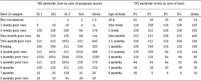 Image for - Immune Response of Pregnant Mares and their Foals for Inactivated Equine Influenza Vaccine