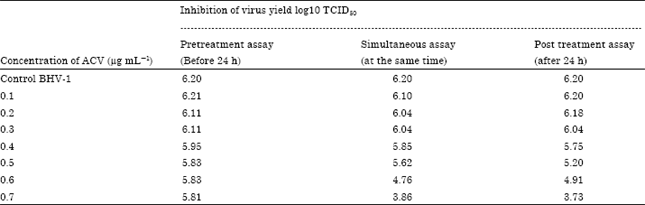 Image for - Effect of Acyclovir on Bovine Herpesvirus Type 1 Infection in in vitro Cultured Cells