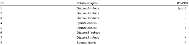 Image for - Molecular Variation of Potato virus Y Isolated from Egypt