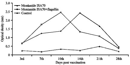 Image for - Immunogenecity D Efficacy of Locally Prepared Montanide-oil Based H5N2 AI Vaccine Containing Flagellin As Immune Enhancer