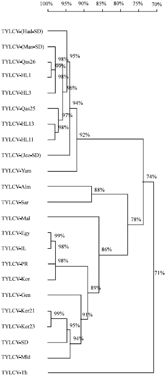 Image for - Molecular Characterization of Tomato Yellow Leaf Curl Disease Associated Viruses in Saudi Arabia