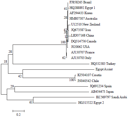 Image for - Genetic Comparison Between Coat Protein Gene of Alfalfa mosaic virus Isolate Infecting Potato Crop in Upper Egypt and Worldwide Isolates