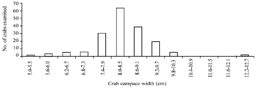 Image for - Observations on the Behavior of the Dark Crab Callinectes rathbunae Contreras Parasitized with the Rhizocephalan Loxothylacus texanus Boschma