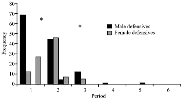 Image for - Social and Sexual Behavior of Two Newly Formed Pairs of Mexican Gray Wolf in Captivity