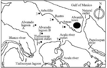 Image for - Space-Temporal Presence of the Cirripede Parasite Loxothylacus texanus in the Lagoon-Estuarine Subsystem of Alvarado, Veracruz, Mexico