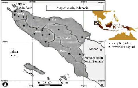 Image for - Diversity and Distribution of Freshwater Fishes in Aceh Water, Northern-Sumatra,Indonesia