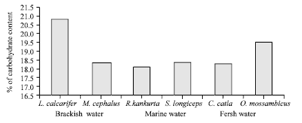Image for - Nutritive Composition of Some Edible Fin Fishes