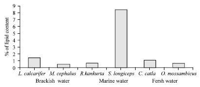Image for - Nutritive Composition of Some Edible Fin Fishes