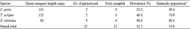 Image for - Prevalence of Haemogregarine Parasites in Three Freshwater Turtle Species in a Population in Northeast Georgia, USA