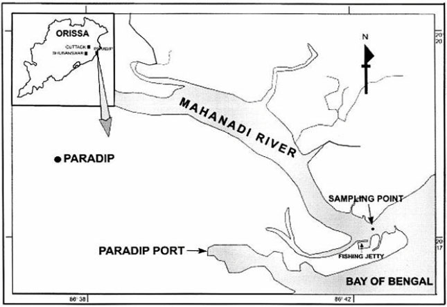 Image for - Seasonal Distribution of Zooplankton in Mahanadi Estuary (Odisha), East Coast of India: A Taxonomical Approach