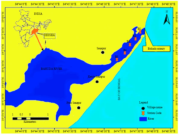 Image for - A Check List on Ichthyofaunal Diversity of Bahuda Estuary, Odisha, East Coast of India