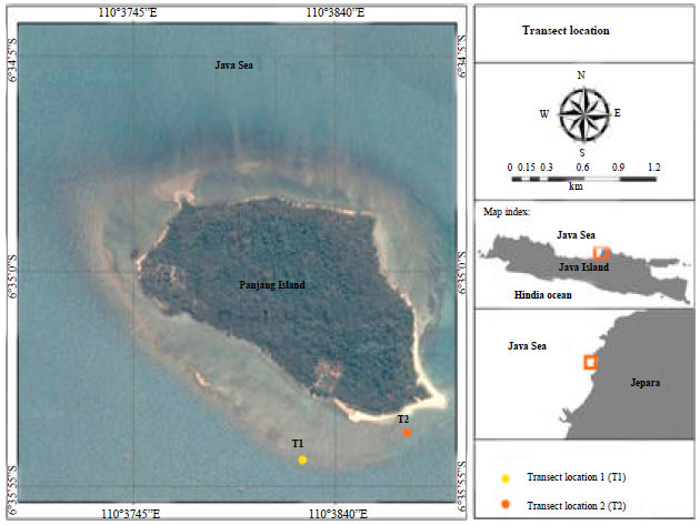 Image for - An Early Evaluation of Coral Disease Prevalence on Panjang Island, Java  Sea, Indonesia