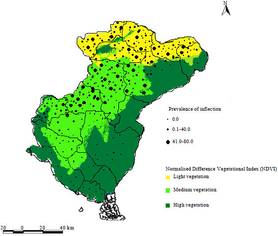 Image for - Environmental Factors and Distribution of Urinary Schistosomiasis in Cross River State, Nigeria
