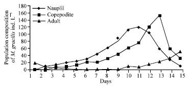 Image for - Alternative Methods for Marine Harpacticoid Copepod, Macrosetella gracilis  Production in Marine Fish Larviculture
