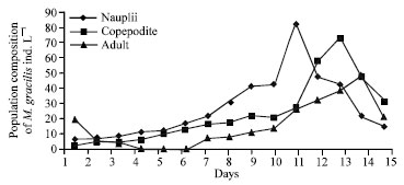 Image for - Alternative Methods for Marine Harpacticoid Copepod, Macrosetella gracilis  Production in Marine Fish Larviculture