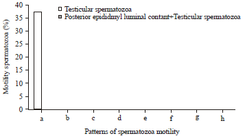 Image for - In vitro Study of the Spermatozoa Motility in the Lizard Eutropis carinata