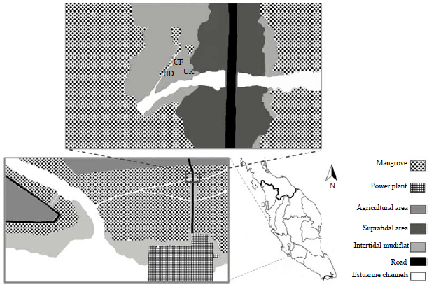Image for - Variation of Sediment Properties among the Radial Profiles of Fiddler Crab Burrows in Mangrove Ecosystem