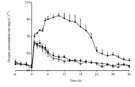 Image for - Effect of Dietary Moisture and Volume on Specific Dynamic Action in Silurus meridionalis Chen