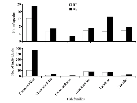 Image for - Distribution and Diversity of Six Common Reef Fish Families along the Egyptian Coast of the Red Sea