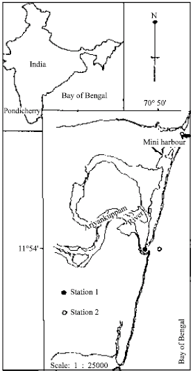 Image for - Phytoplankton Composition and Community Structure of Ariyankuppam Estuary and Verampattinam Coast of Pondicherry