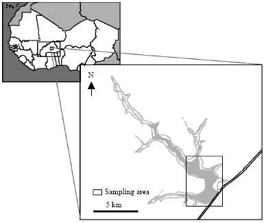 Image for - Seasonal Diet Shift of the Most Important Fish Species in a Sahelo-Soudanian Reservoir (Burkina Faso)
