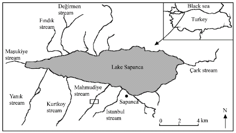 Image for - Reoccurrence of Salmo trutta macrostigma (Dumeril, 1858) in Lake Sapanca Basin (Sakarya, Turkey): Implications for Conservation
