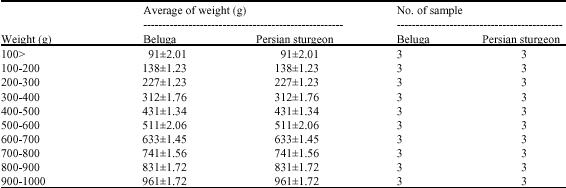 Image for - Diversity of Lactic Acid Bacteria in the Gastrointestinal Tracts of Reared Beluga (Huso huso) and Persian Sturgeon (Acipenser persicus): A Comparative Study