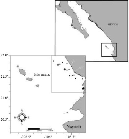 Image for - The Use of Stable Isotopes and Stomach Contents to Identify Dietary Components of the Spotted Rose Snapper, Lutjanus guttatus (Steindachner, 1869), off the Eastern Coast of the Southern Gulf of California