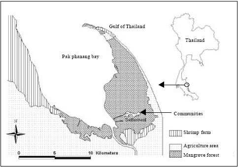 Image for - Accumulation of Lipofuscin and Preliminary Estimation of Age-Structure in Wild Mud Crab (Scylla paramamosain) Population in Tropical Mangrove Swamps, Thailand