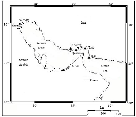 Image for - Genetic Diversity of Avicennia marina (Forsk.) Vierh. Populations in the Persian Gulf by Microsatellite Markers