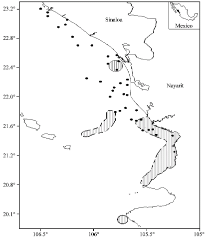 Image for - Length-Weight Relationship of Demersal Fish from the Eastern Coast of the Mouth of the Gulf of California