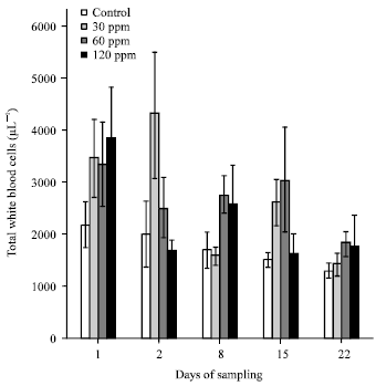 Image for - Effects of Zataria multiflora Essential Oil on Innate Immune Responses of Common Carp (Cyprinus carpio)