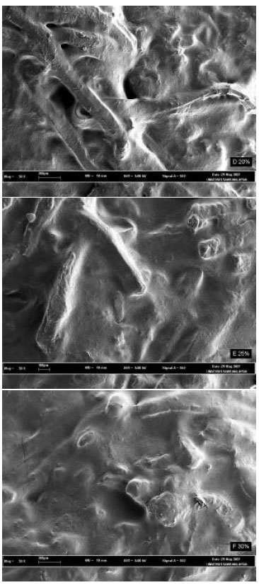 Image for - A Study on the Physicochemical Properties, Microstructure and Sensory Characteristics of Fish Flakes