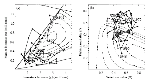 Image for - Optimal Selection and Effort in a Fishery on a Stock with Cannibalistic Behaviour the Case of the Northeast Arctic Cod Fisheries