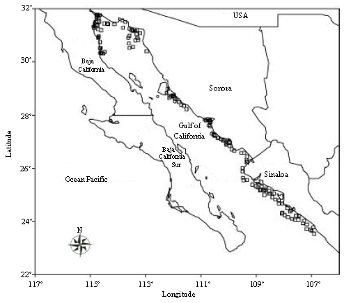 Image for - Feeding Habits of the Panama Brief Squid (Lolliguncula panamensis) in the Gulf of California, Mexico