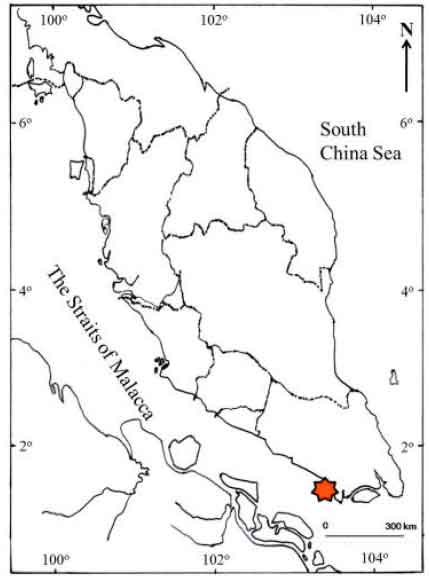 Image for - Diet Composition of Sergestid Shrimp Acetes serrulatus from the Coastal Waters of Kukup, Johor, Malaysia