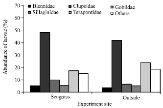 Image for - Comparison of Larval Fish Density Between Seagrass Beds and Outside Seagrass Beds of the Southwestern Johor, Peninsular Malaysia