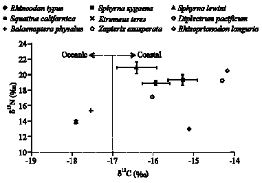 Image for - Trophic Level and Isotopic Composition of δ13C and δ15N of Pacific Angel Shark, Squatina californica (Ayres, 1859), in the Southern Gulf of California, Mexico