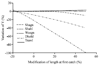 Image for - Stock Assessment and Potential Management of Trichiurus lepturus Fisheries in the Arabian Sea, Oman