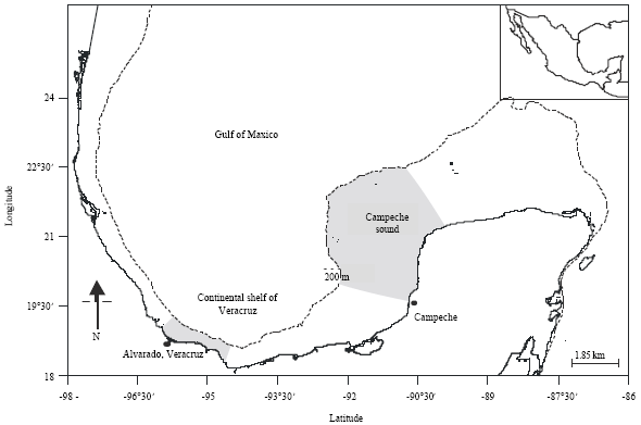 Image for - δ13C and δ15N in Dominant Demersal Fish Species in The Southern Gulf of Mexico
