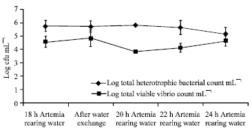 Image for - Effect of Water Exchange to Eliminate Vibrio sp. During the Naupliar Development of Artemia franciscana 